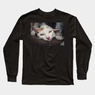 abandoned kitten Long Sleeve T-Shirt